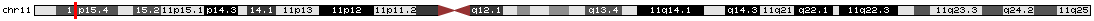 Gene Location