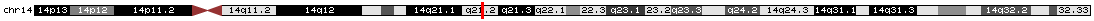 Gene Location