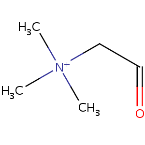 betaine_aldehyde