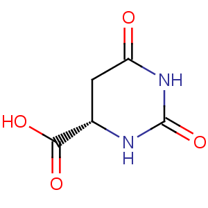 L-Dihydroorotic