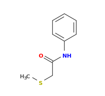 2-methylsulfanyl-N-phenylacetamide
