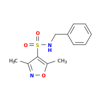 N-benzyl-3,5-dimethyl-1,2-oxazole-4-sulfonamide