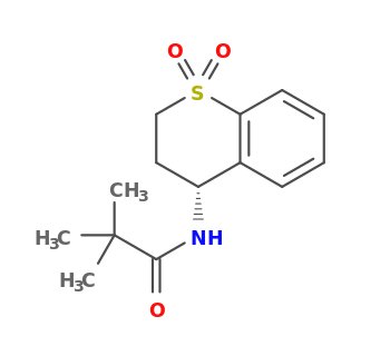 N-[(4R)-1,1-dioxo-3,4-dihydro-2H-thiochromen-4-yl]-2,2-dimethylpropanamide