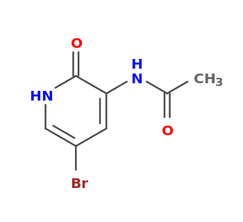 N-(5-bromo-2-oxo-1H-pyridin-3-yl)acetamide