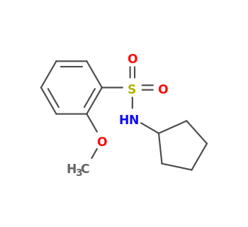 N-cyclopentyl-2-methoxybenzenesulfonamide