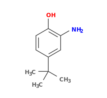 2-amino-4-tert-butylphenol