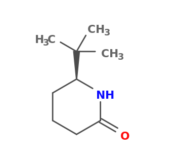 (6S)-6-tert-butylpiperidin-2-one