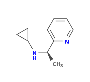 N-[(1R)-1-pyridin-2-ylethyl]cyclopropanamine