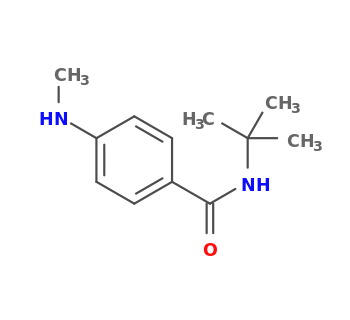 N-tert-butyl-4-(methylamino)benzamide