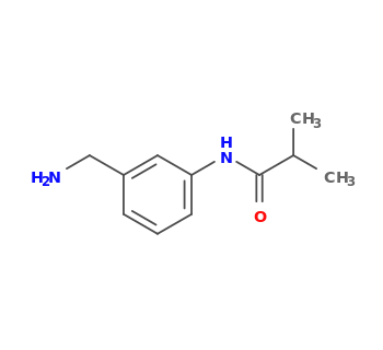 N-[3-(aminomethyl)phenyl]-2-methylpropanamide