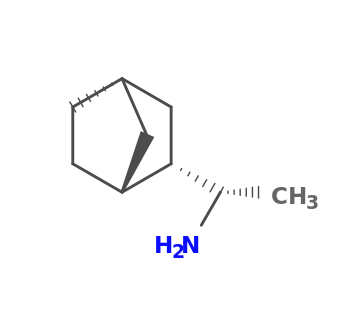 (1S)-1-[(1R,2S,4S)-2-bicyclo[2.2.1]heptanyl]ethanamine