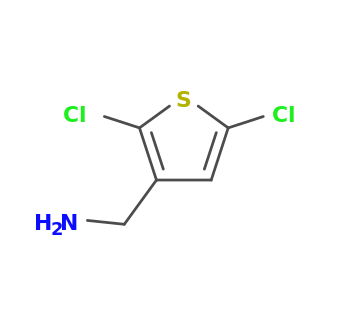 (2,5-dichlorothiophen-3-yl)methanamine