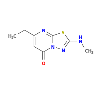 7-ethyl-2-(methylamino)-[1,3,4]thiadiazolo[3,2-a]pyrimidin-5-one