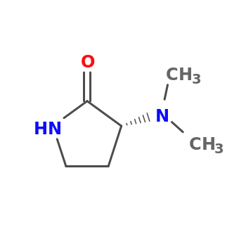 (3R)-3-(dimethylamino)pyrrolidin-2-one