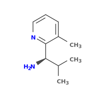(1R)-2-methyl-1-(3-methylpyridin-2-yl)propan-1-amine