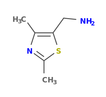 (2,4-dimethyl-1,3-thiazol-5-yl)methanamine