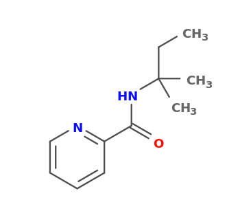 N-(2-methylbutan-2-yl)pyridine-2-carboxamide