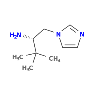 (2S)-1-imidazol-1-yl-3,3-dimethylbutan-2-amine