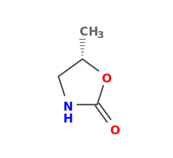 (5S)-5-methyl-1,3-oxazolidin-2-one
