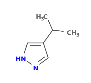 4-propan-2-yl-1H-pyrazole