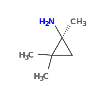 (1S)-1,2,2-trimethylcyclopropan-1-amine