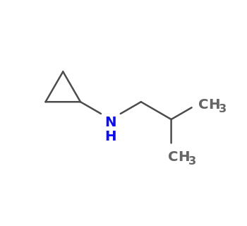 N-(2-methylpropyl)cyclopropanamine