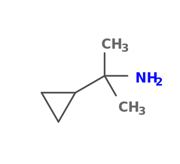 2-cyclopropylpropan-2-amine
